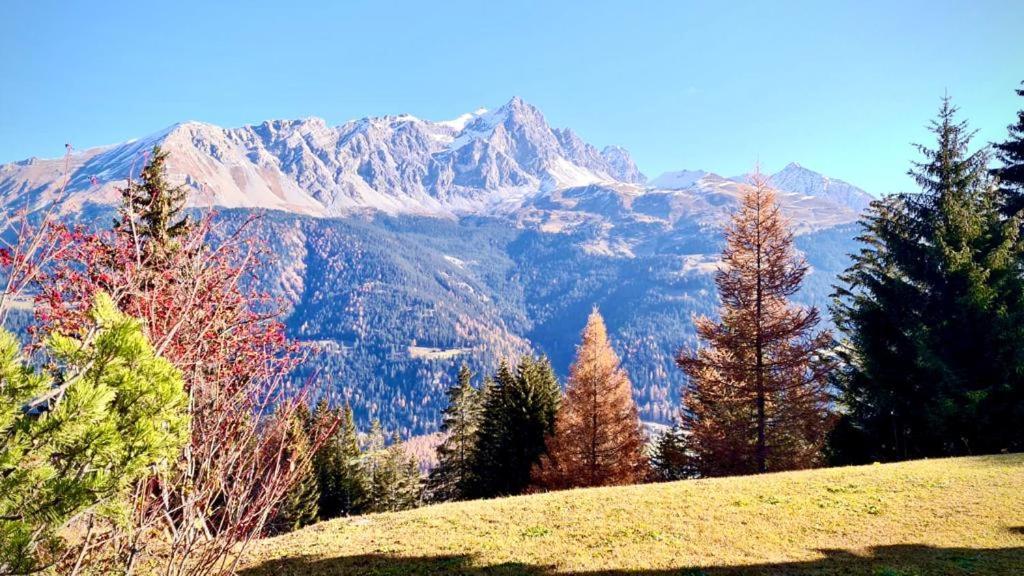 Chalet Wulli In Der Naehe Der Skianlagen Savognin Exterior foto